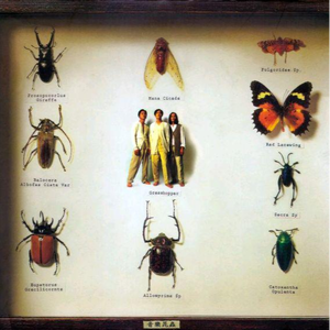 亚洲色无码专区在线观看第
